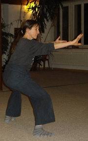 Fu-style Tai-Chi Chuan