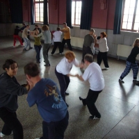 17LTai_chi_017