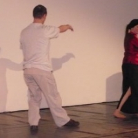 Hannover_rencontre_pushhands_2008013