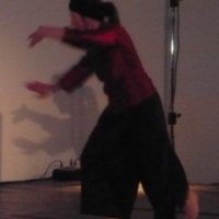 Hannover_rencontre_pushhands_2008011