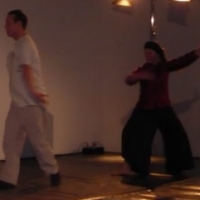 Hannover_rencontre_pushhands_2008014