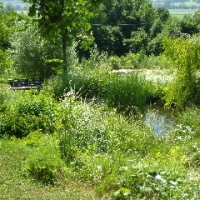 P7020237