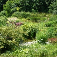 P7020238
